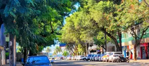 Apartment on the BEACH with air conditioning, pet friendly + private garage. - Image 2