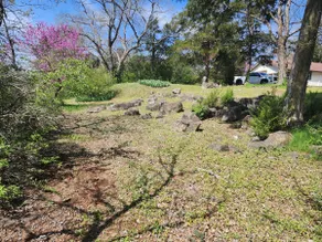 ” The Bluff House at T-COMO ” - Image 3