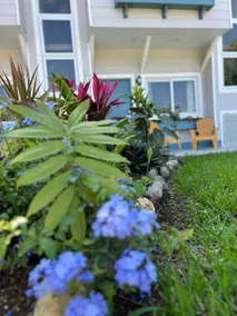 Villa Mahú 4 - Image 5