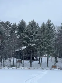 Luxury Lodge in the Northwoods - Image 3