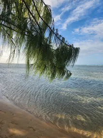 Luquillo Sea Breeze. Beach front - Image 2