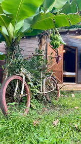 Country house - Image 3