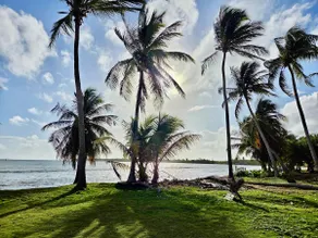 Mami Ana Beach House, The Oceanfront Rest Hideaway ! - Image 3