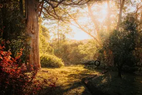 'Everest' - One of Maleny's best-kept secrets - Image 4