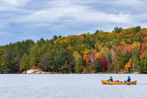 Nature Retreat + Hot Tub & Steam Room - Image 2