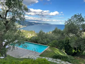 "Ulivi nel Blu" Country House With Pool 2 Rooms - Image 4