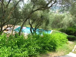 "Ulivi nel Blu" Country House With Pool 2 Rooms - Image 3
