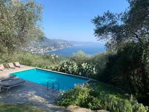 "Ulivi nel Blu" Country House With Pool 2 Rooms - Image 5