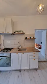 Alecsandri House - Image 4