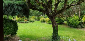 welcome to the Patureau garden. - Image 2
