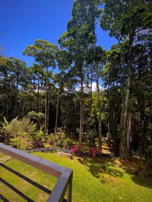 CantaRana Lodge Rainforest - Image 4