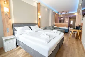 Modern studio suite with air conditioning - Image 2