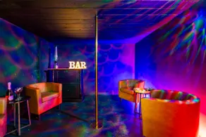 Chic Luxury Haven, nightclub room, theater, 9 beds - Image 3