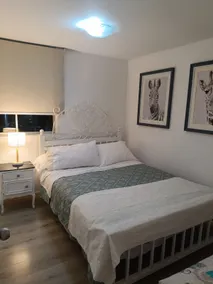 Apartment near Arturo Merino Benítez Airport/Santiago - Image 3