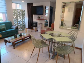 Apartment near Arturo Merino Benítez Airport/Santiago - Image 4