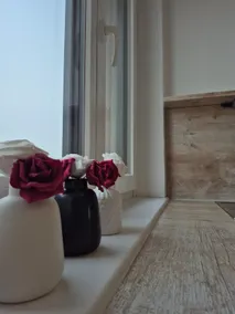 Top floor apartment 45 m², up to 4 people, pet-friendly - Image 4