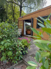 Pleuntje forest cottage in the countryside with a fenced garden - Image 2