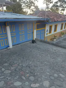 Casa Barcinales among greenery - Image 4
