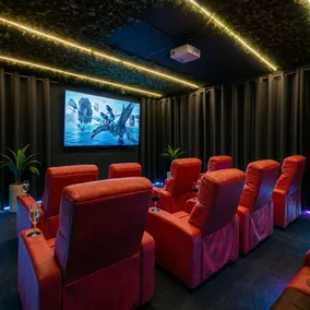 Themed Glow Villa - 4K Cinema - Heated Pool & Spa - Lake - Sleeps 12 - Image 2