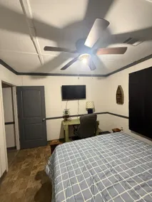 Blue cat lodge - Image 3
