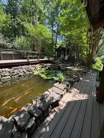 Riverside Cabin in the Blue Ridge Mountains - Image 5