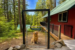 River | Hot Tub | Deck | Fenced Area | Dogs - Image 4