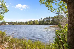 Lake Keziah House-lakefront, peaceful, & spacious! - Image 5