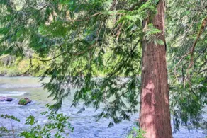 whispering water's cottage. - Image 4