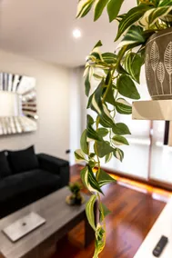 La Deva - Apartment with free garage - Image 3