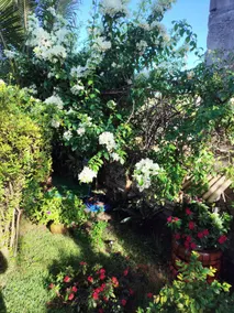 Recanto Verde - Image 5