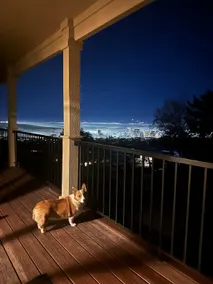 SLC Skyline Views near downtown! - Image 5