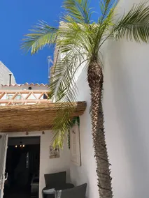 A tranquil haven in Estepa, plunge pool, WiFi, BBQ - Image 3