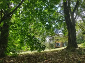 Nothofagus Shelter Cabin - Image 4
