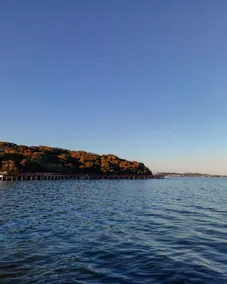 Full house in Araruama - Image 2