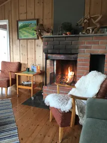 Idyllic setervang in Alvdal - Image 2