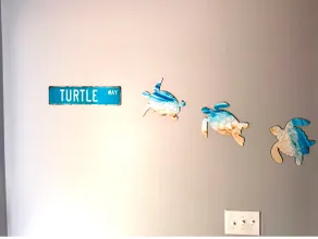 Turtle Way Haven - Image 3