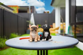 Modern 3B house, pet friendly close nature reserve - Image 3