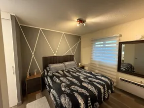Comfortable Furnished PetFriendly Apartment - Image 2
