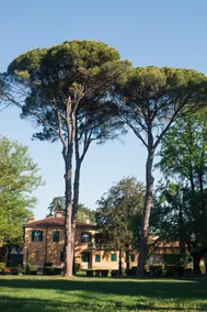 Coronini Park 1939 Gorizia Host Blue suite - Image 3