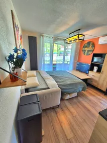 Charming apartment at the foot of the slopes - Image 3