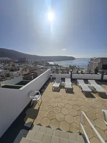 Los Cristianos near Las Vistas Beach Cactus 1 - Image 2