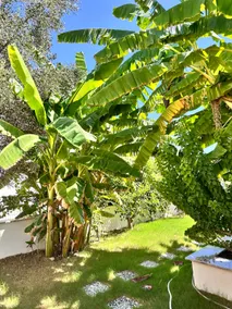 Detached Luxry House with pool/villanita sarigerme - Image 2