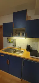 Apartment 60 sqm, close to the city, by the forest, wallbox - Image 4