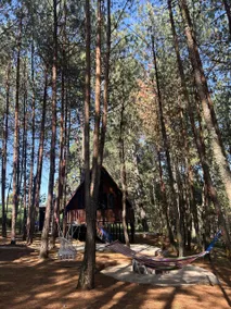 Cabin in connection with the forest: The clover - Image 4