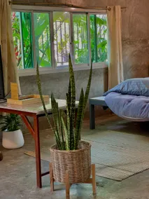Tiny Loft Style House - Image 3