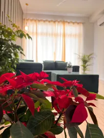Urban Suite | Luxury 1BHK | near CP67 Mall - Image 4