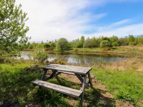 Oaktree Cottage - 3 Bedrooms - Sleeps 6 - Image 5