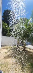Casa Brisamar, your refuge in Porto Seguro, Bahia - Image 4