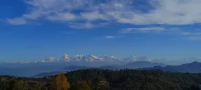 VAAS Seetla - Image 3