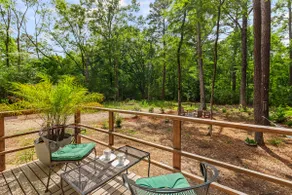 Jackson’s Urban Cabin Escape on 6 Acres - Image 5